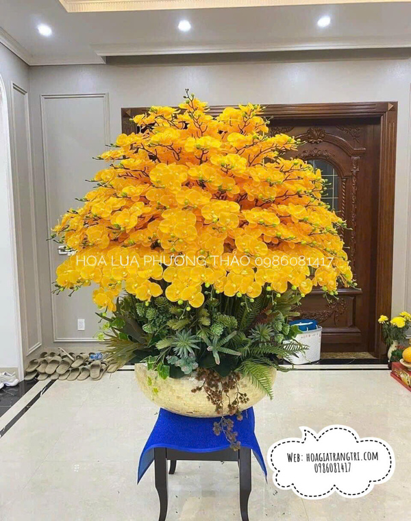 Chậu lan hồ điệp giả