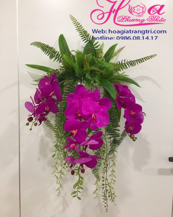 Hoa lan treo tường