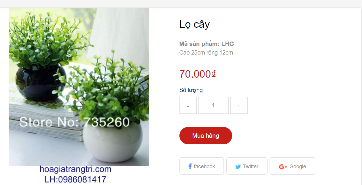 Thông tin về mua hoa giả được cập nhật đầy đủ trên hoagiatrangtri.com