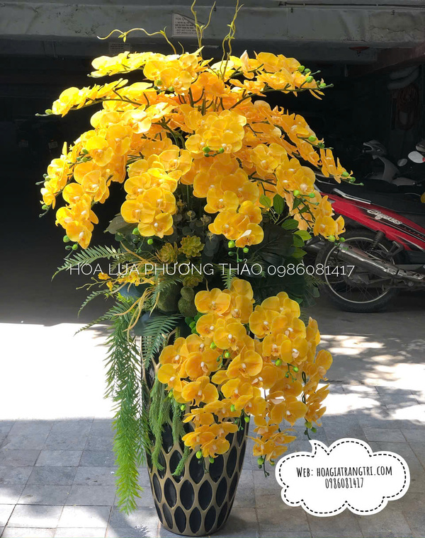 Chậu lan hồ điệp giả cao cấp trang trí phòng khách