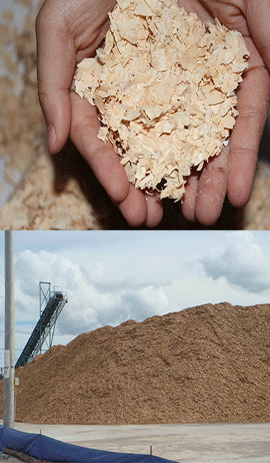 Vietnambiomass