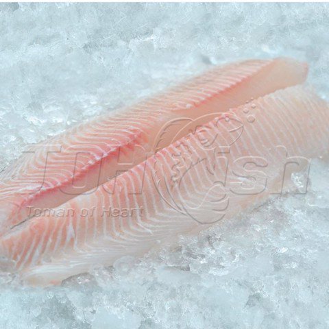 Snakehead Clean Skin Clean Bone