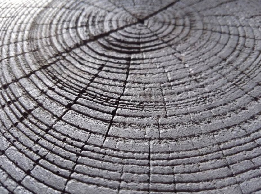 Những vết nứt tự nhiên trên gạch bê tông vân gỗ màu bạc.
