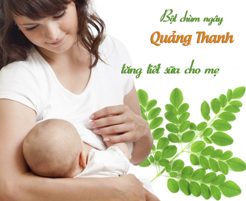 Chùm ngây tăng tiết sữa cho mẹ sau sinh