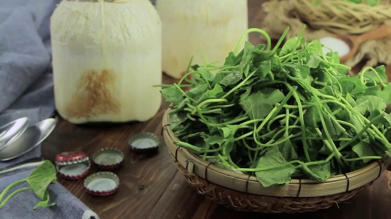 sinh tố rau má dừa thơm ngon