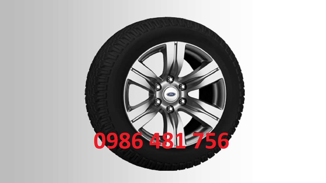 La Zăng Đúc Ford Everest 2008 R18