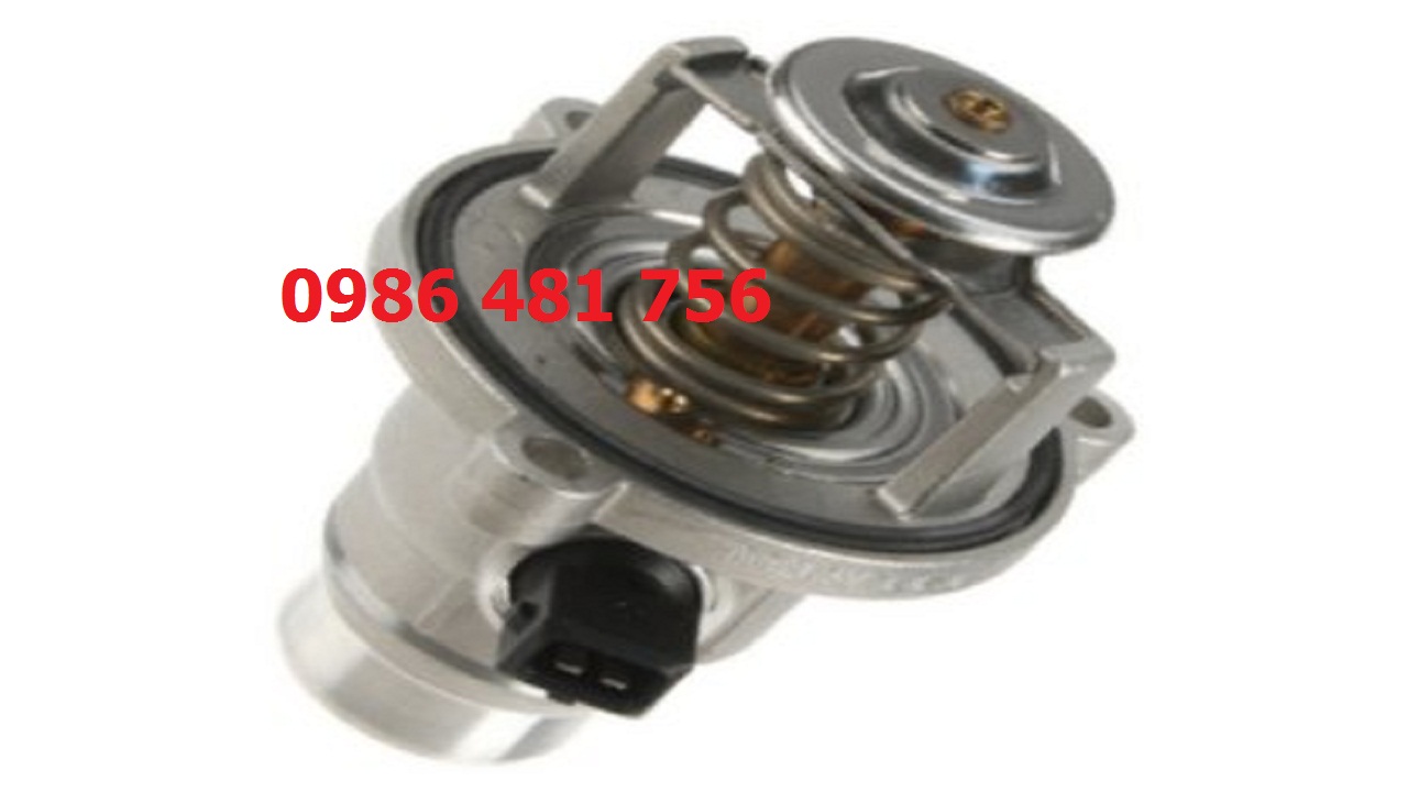 Van hằng nhiệt BMW X6 5.0 2009