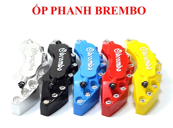 gioi-thieu-skyauto-viet-nam-8