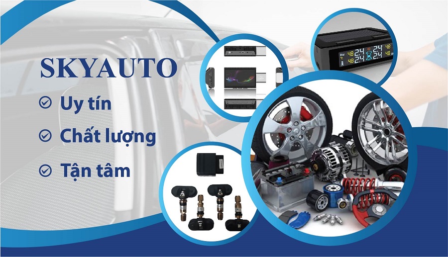 gioi-thieu-skyauto-viet-nam-2
