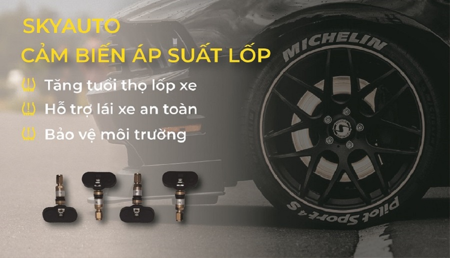 gioi-thieu-skyauto-viet-nam-5