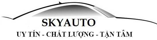 gioi-thieu-skyauto-viet-nam-1