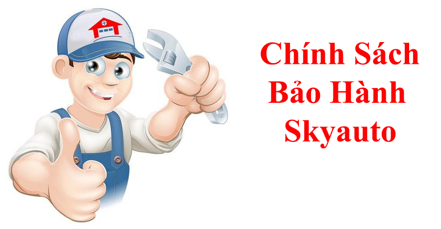 gioi-thieu-skyauto-viet-nam-3