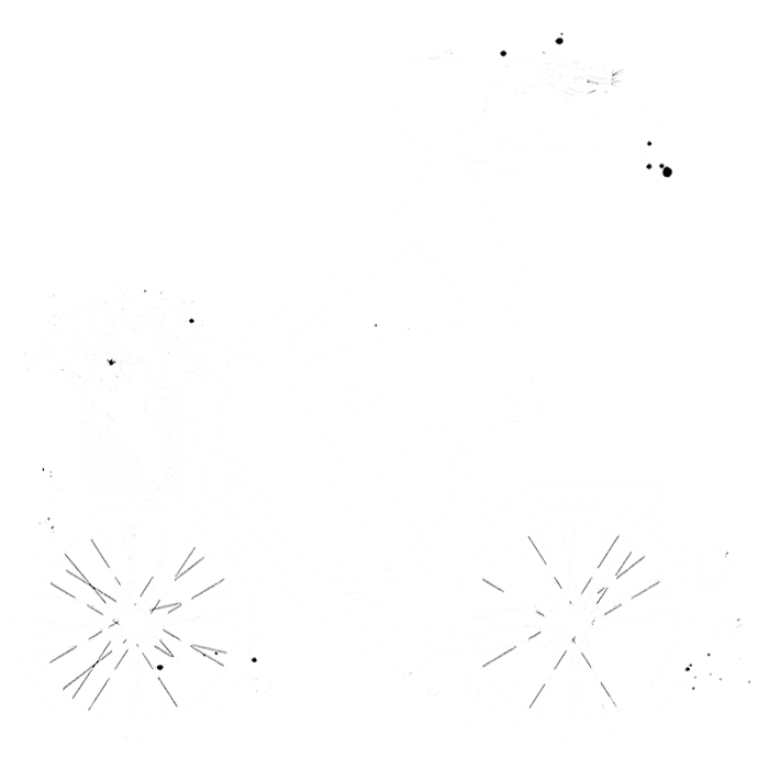 Xe đạp mini LIFE