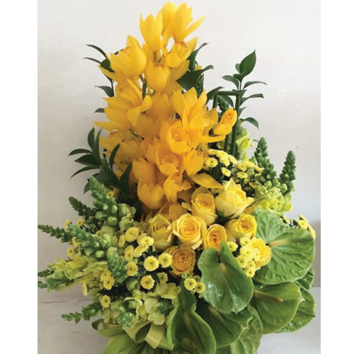  Lẵng hoa lan đẹp nhất tại Shop hoa tươi Vườn Hoa Xinh. HOA TƯƠI VÀ XINH XẮN 