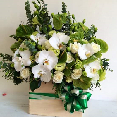 Mừng sinh nhật với lẵng hoa xinh xắn "Xuân xanh" cho đời thêm tươi tắn