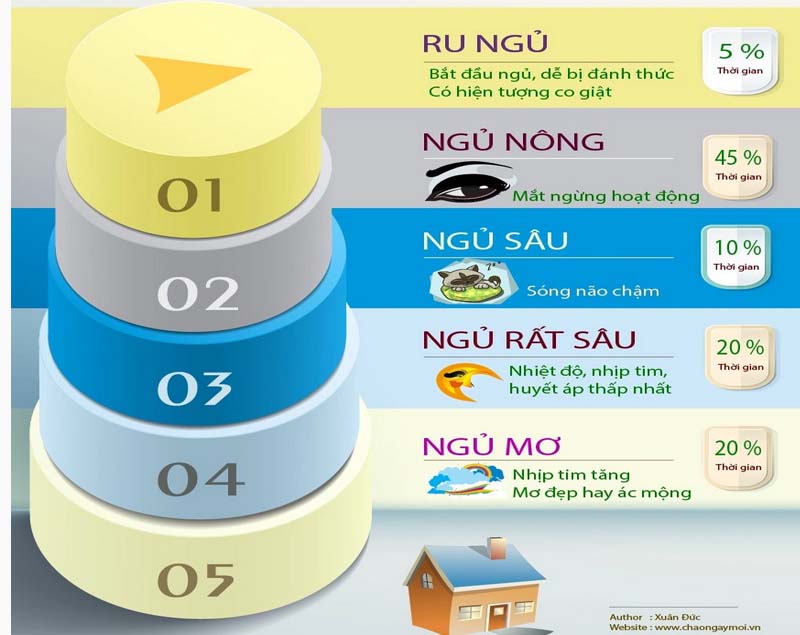1 giấc ngủ kéo dài bao lâu