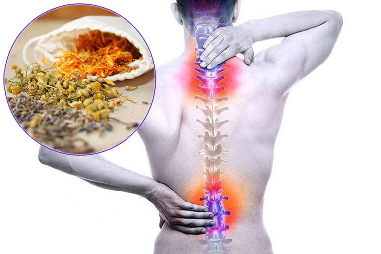 Bài thuốc chữa thoái hóa cột sống lưng an toàn hiệu quả
