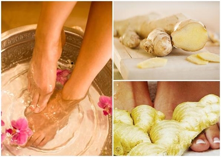 Bài thuốc trị đau khớp gối an toàn hiệu quả