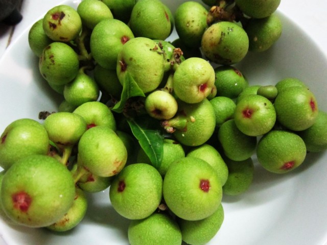 Bài thuốc trị sỏi thận hiệu quả an toàn nhất