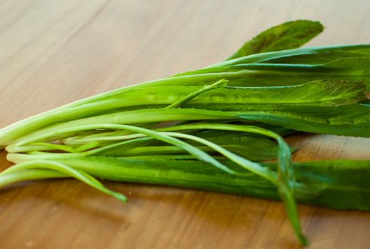 Bài thuốc trị sỏi thận hiệu quả an toàn nhất