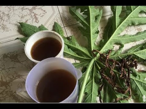 Bài thuốc trị ung thư gan giai đoạn cuối trong đông y như thế nào