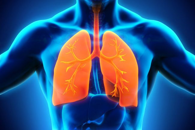 Bảng phân tích chức năng Phổi