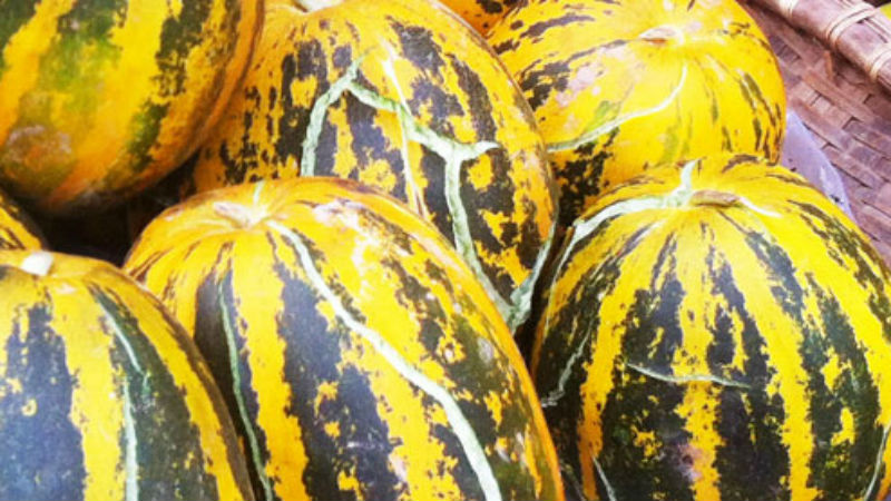 Bệnh cao huyết áp nên ăn trái cây gì tốt nhất