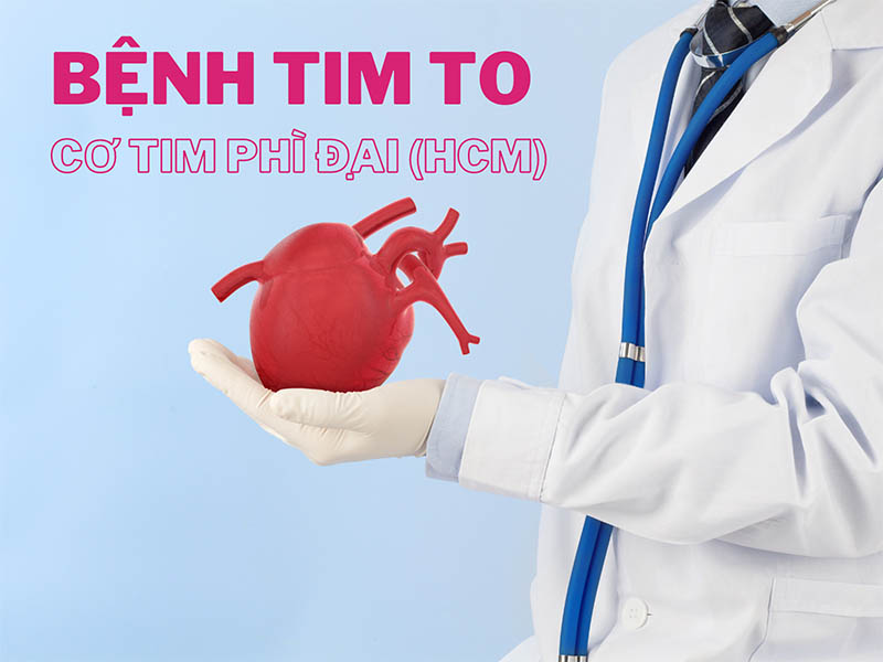 Bệnh cơ tim phì đại nên ăn gì và cách điều trị ra sao