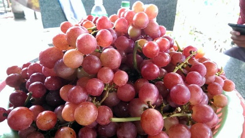 Bệnh nhân ung thư nên ăn hoa quả gì tốt nhất