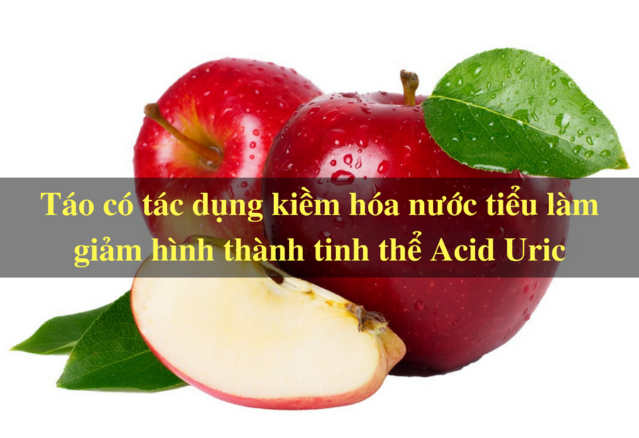 Bệnh sỏi thận nên ăn trái cây gì tốt an toàn nhất