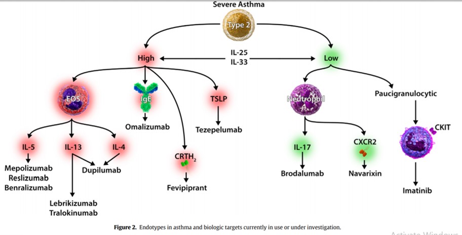 CẬP NHẬT ĐIỀU TRỊ HEN PHẾ QUẢN