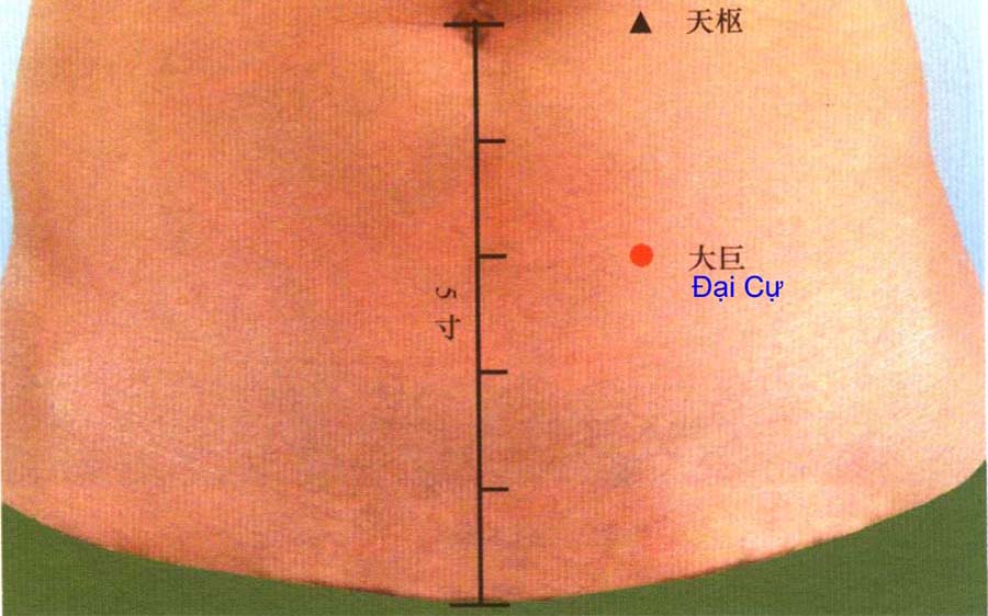 huyệt Đại cự