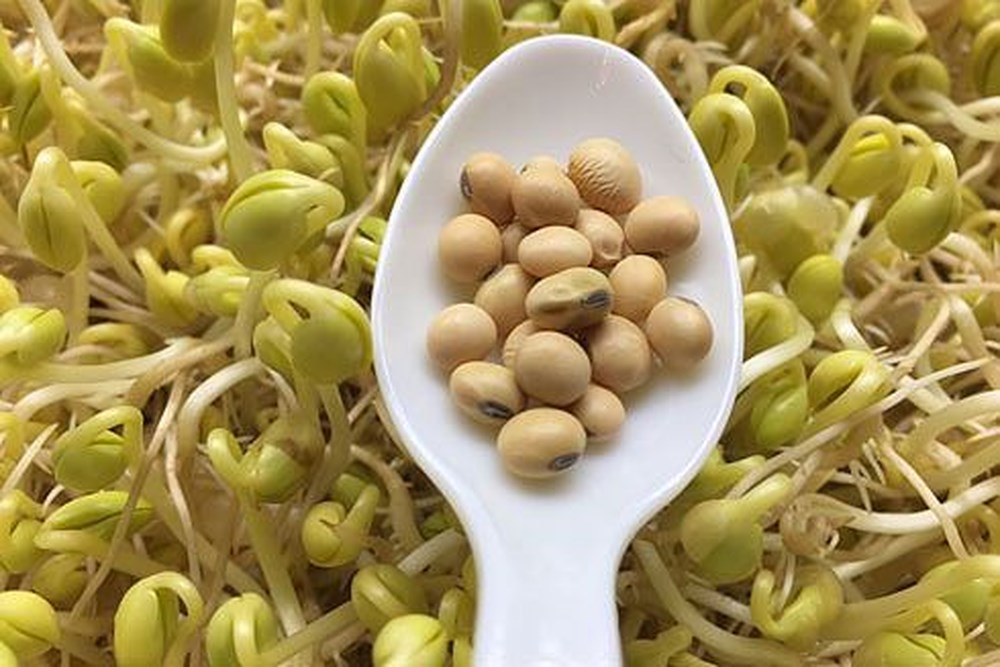 Cách bổ sung nội tiết tố nữ từ thiên nhiên như thế nào