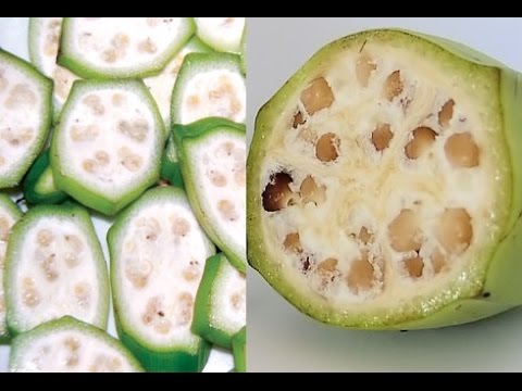 Cách chữa sỏi thận bằng chuối hột an toàn hiệu quả