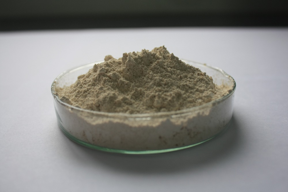 Cách chữa sỏi thận bằng chuối hột an toàn hiệu quả