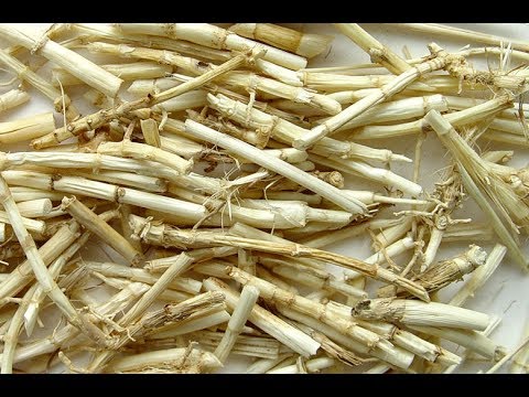 Cách chữa viêm đường tiết niệu bằng thuốc nam an toàn hiệu quả