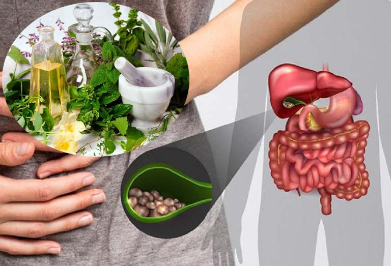 Cách điều trị sỏi túi mật bằng thuốc nam an toàn hiệu quả