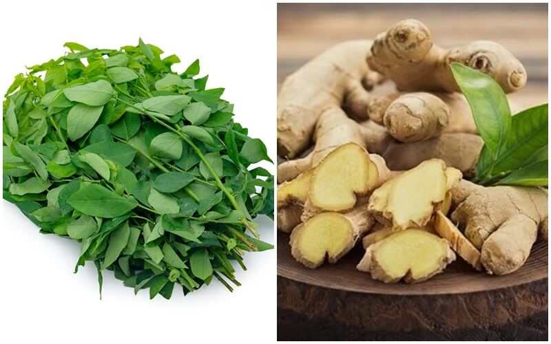 Cách trị nám da bằng rau ngót an toàn hiệu quả