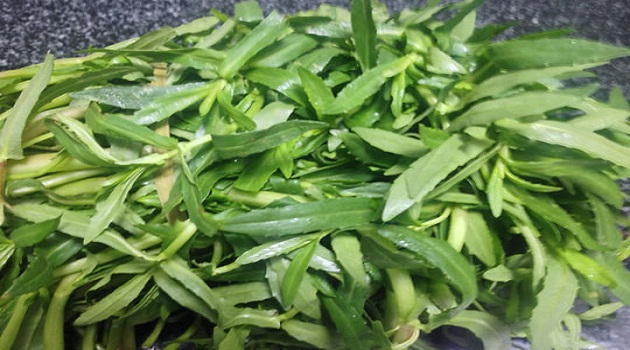 Cách trị sỏi thận bằng rau om an toàn hiệu quả