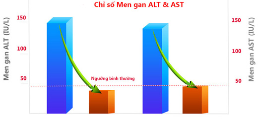 Chỉ số men gan bình thường là bao nhiêu