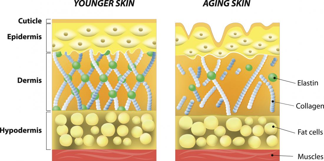 Collagen Label N 