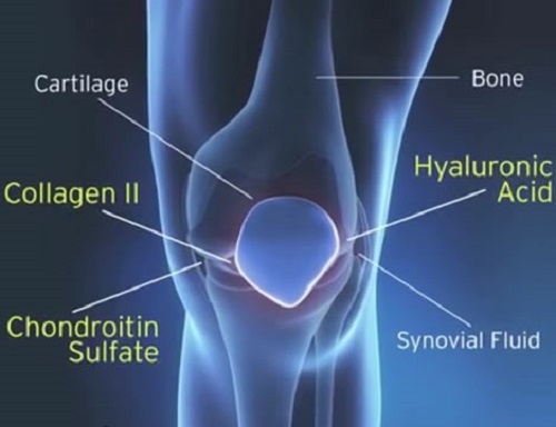 Collagen type 2 có tác dụng gì và mua ở đâu