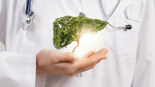 Công dụng của cây kế sữa với sức khỏe con người như thế nào