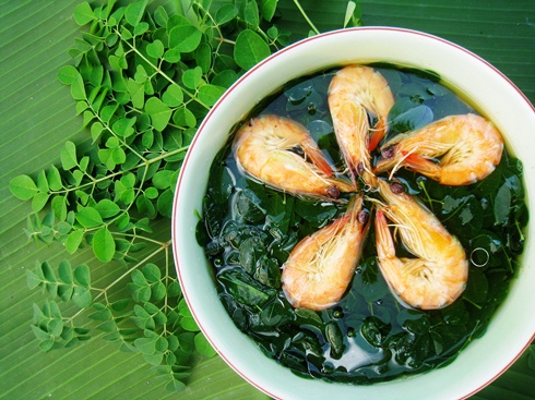 Công dụng của chùm ngây với sức khỏe con người như thế nào