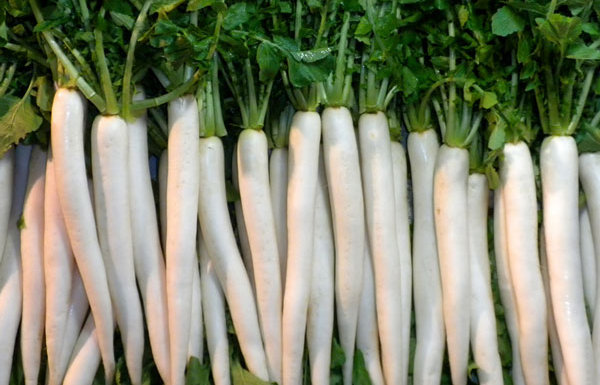 Công dụng của củ cải khô như thế nào