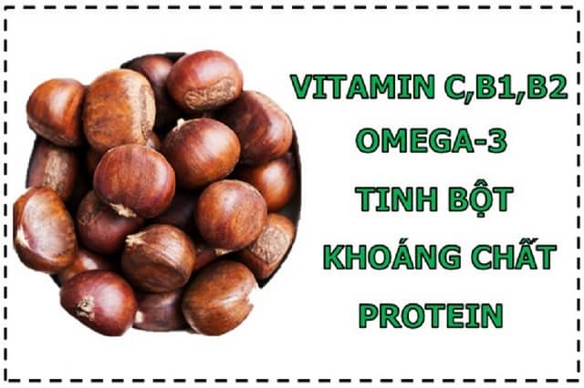 Công dụng của hạt dẻ với sức khỏe con người như thế nào