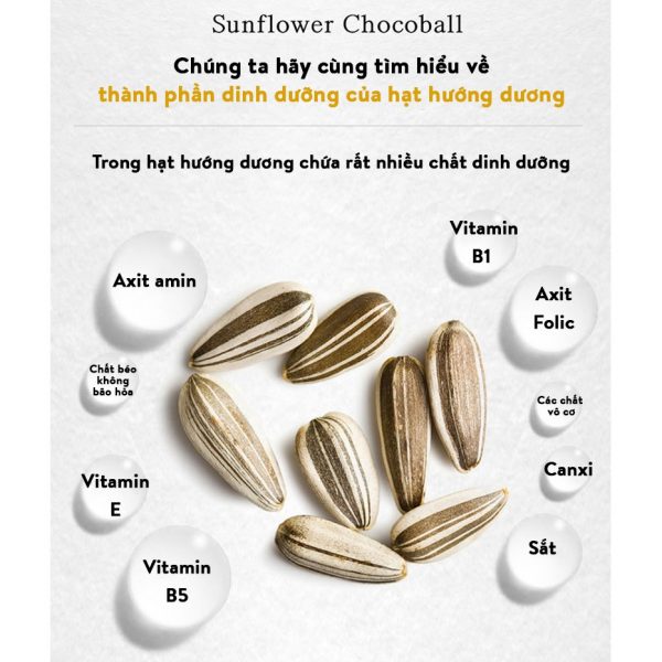 Công dụng của hạt hướng dương
