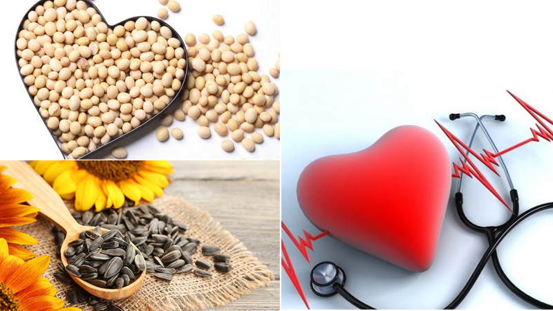 Công dụng của hạt hướng dương