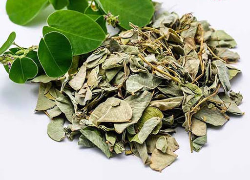 Công dụng của kim tiền thảo như thế nào