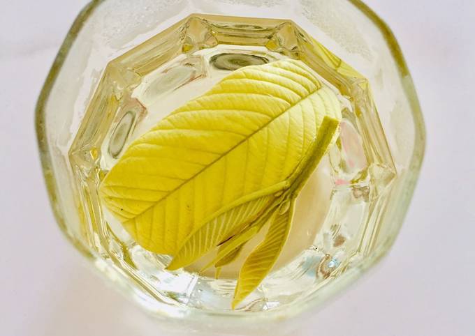 Công dụng của lá ổi với sức khỏe con người